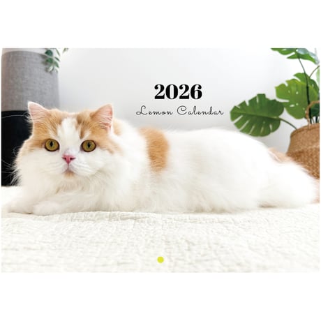 一閑張り（猫） STORES 猫の検索結果