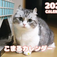 Anistar shop