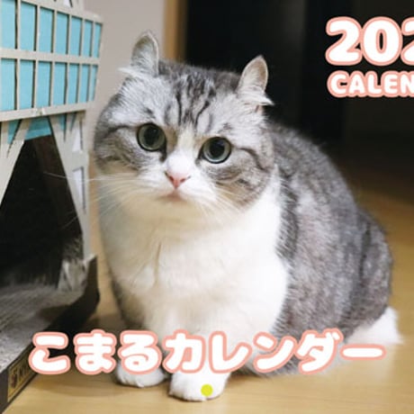 【予約販売】 猫のこまる 2026年 壁掛けカレンダー KA26138