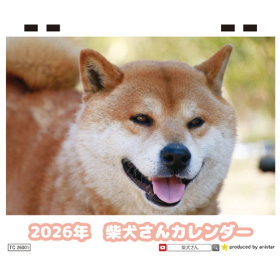 68b91345e8c4f821e352abe8