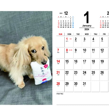 【予約販売】 カニンヘンダックスフンド犬のAmu 2024年 卓上 カレンダー TC24281