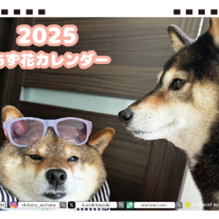 66db04fecc85d000017b8ab9