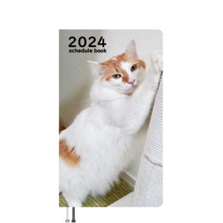 【予約販売】 猫のびびくん 2024年 ポケットサイズ スケジュール帳 PO24131