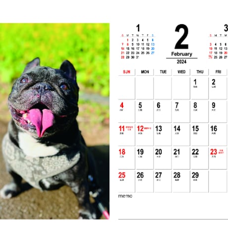 【予約販売】 フレンチブルドッグ犬 ココ 2024年 卓上 カレンダー半面 TC24032