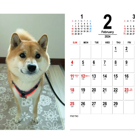【予約販売】 柴犬のふう太 2024年 卓上 カレンダー TC24195