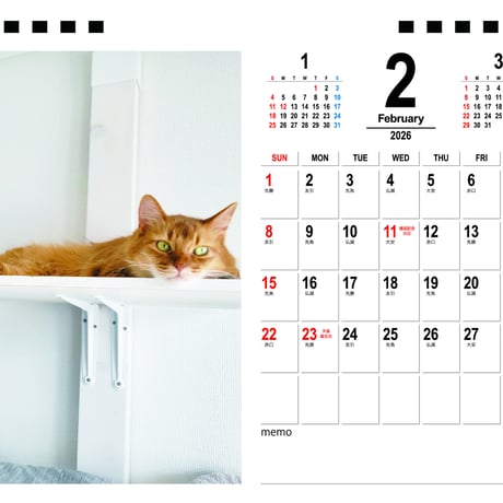 【予約販売】 しぴ＆おこめ 猫 2026年 卓上カレンダー 26243