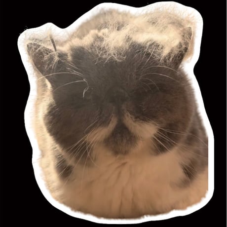 【予約販売】 まるおとまめこ 猫 ステッカーNo27 3枚セット SU027NN