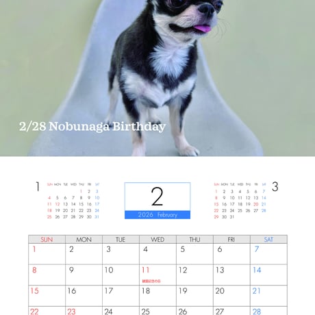 【予約販売】 チワワののぶなが 犬 2026年 壁掛けカレンダー KA26089