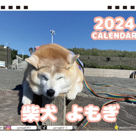 【予約販売】 柴犬のよもぎ 2024年 卓上 カレンダー TC24068