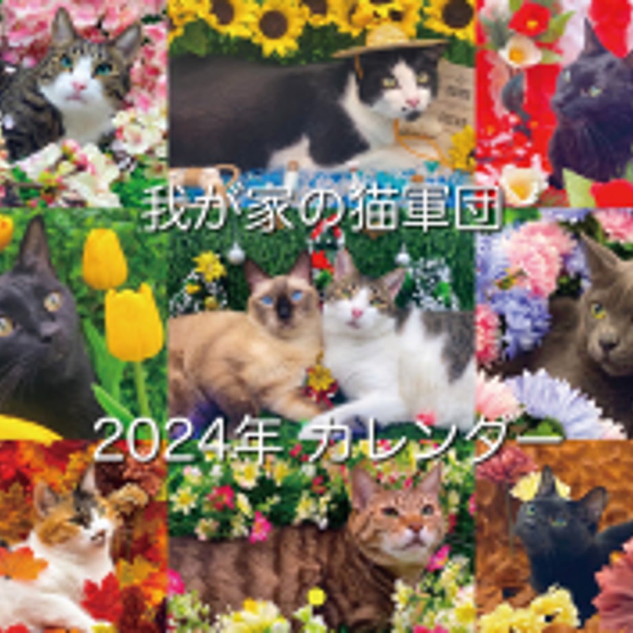 65211f121edc2700017b2cc8