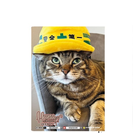 【予約販売】 Hana Channel 保護猫ライフ 2026年 A5スケジュール帳 A526302