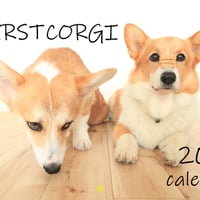 【予約販売】 初めてのコーギー 犬 2026年 壁掛けカレンダー KA26178