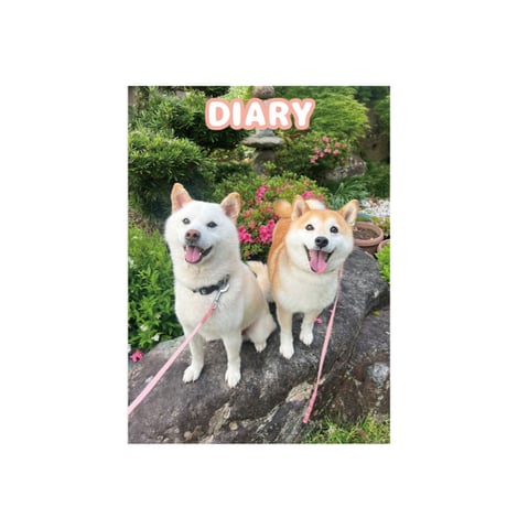 CATEGORY MIKAN FAMILY | Anistar shop