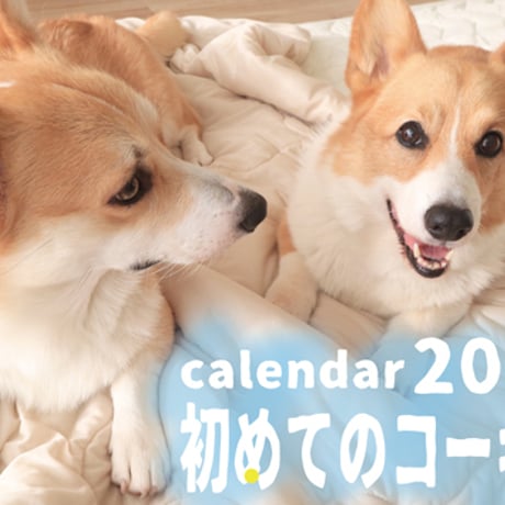 【予約販売】 初めてのコーギー犬 2024年 壁掛け カレンダー KK24061