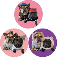 【予約販売】 トーラスとジュニパー フレンチブルドッグ 犬 缶バッジNo4 3個セット GE004NN