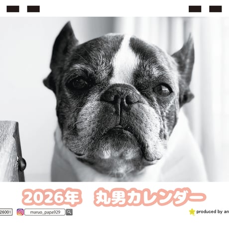【予約販売】 原 丸男 フレンチブルドッグ 犬 2026年 卓上カレンダー TC26177