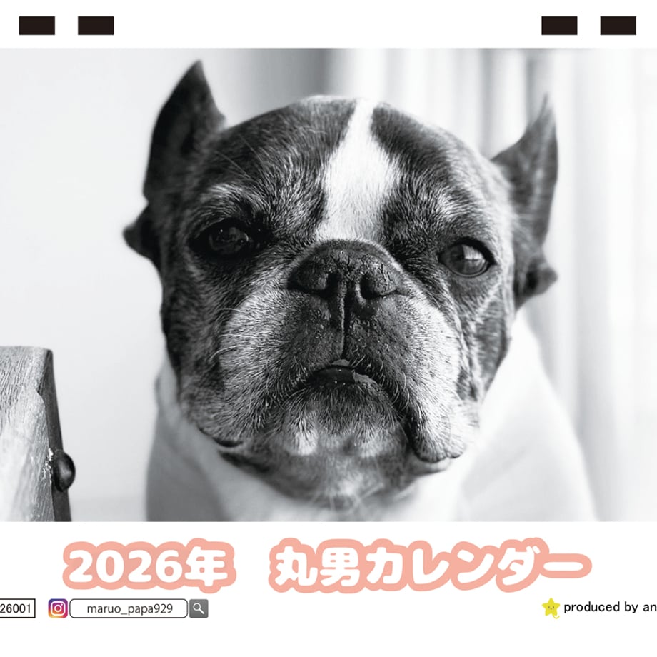 68dcdfd2c774eb3a2e9cb0a6