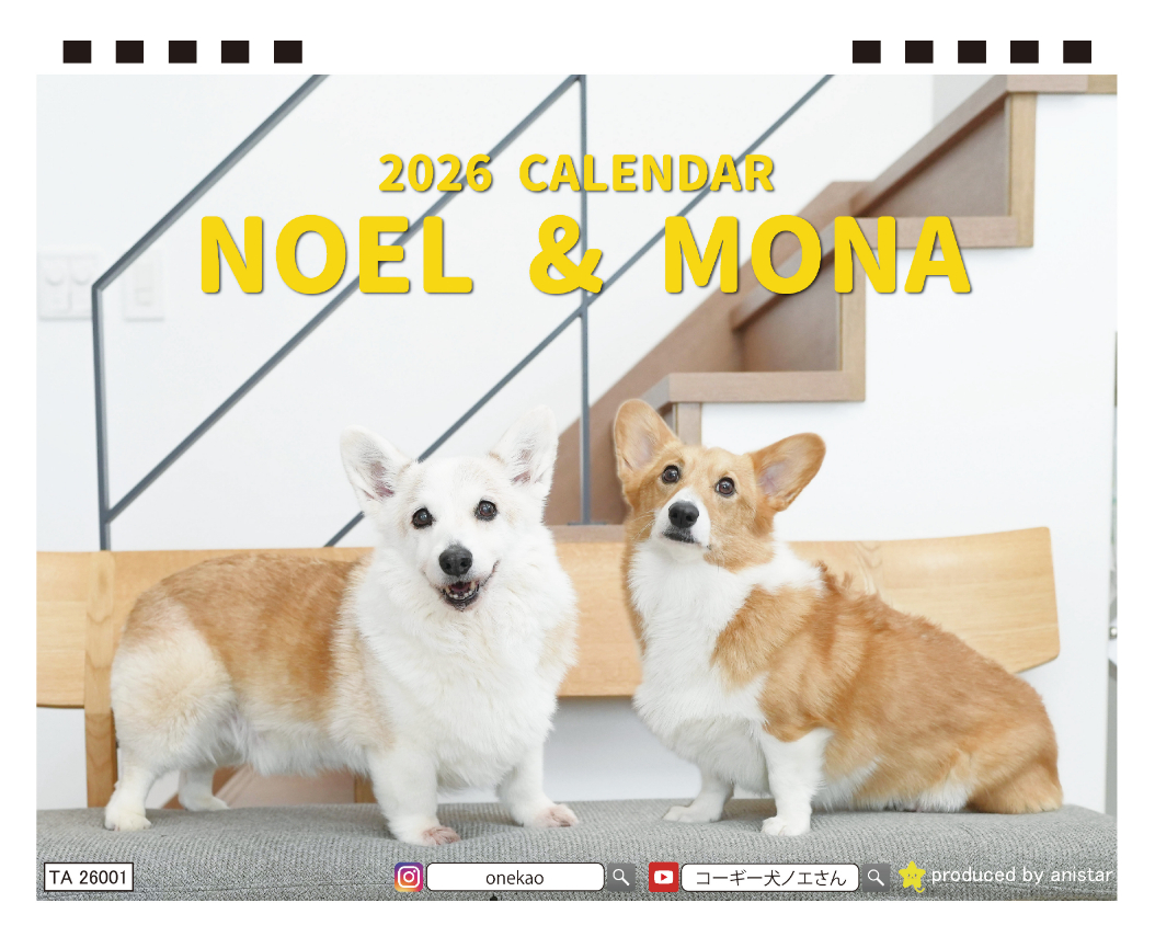 予約販売】 ノエル&モナ コーギー 犬 2026年 卓上全面 カレンダー
