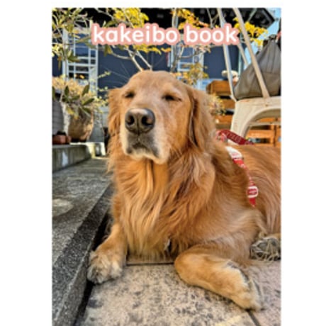 【予約販売】 ゴールデンレトリバー犬＆保護猫 ぺろりんず！ 2025年 家計簿帳 CA25011