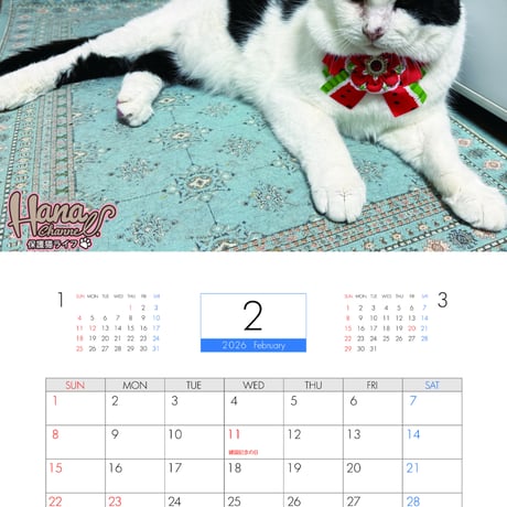 【予約販売】 Hana Channel 保護猫ライフ 2026年 壁掛け カレンダー KK26300