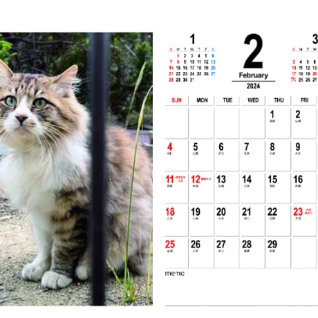 【予約販売】 猫のにゃろめっこ 2024年 卓上 カレンダー TC24161
