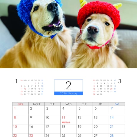 【予約販売】 コメ&イクラ ゴールデンレトリバー 犬 2026年 壁掛け カレンダー KK26285