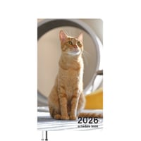 【予約販売】 吾輩は猫ニートである。 ぱん 2026年 ポケットスケジュール帳 PO26354