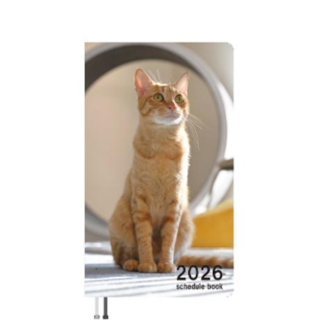 【予約販売】 吾輩は猫ニートである。 ぱん 2026年 ポケットスケジュール帳 PO26354