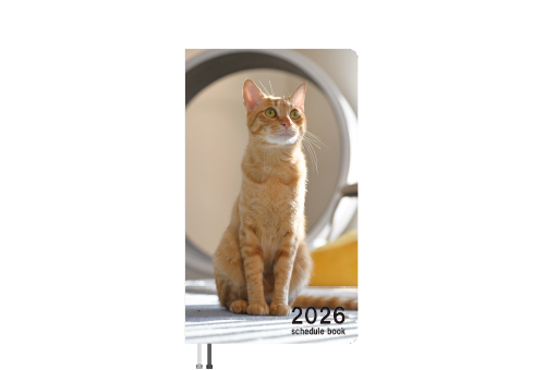 予約販売】 吾輩は猫ニートである。 ぱん 2026年 ポケットスケジュール