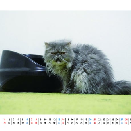 【予約販売】 吾輩は猫ニートである。 2024年 卓上 カレンダー TC24126