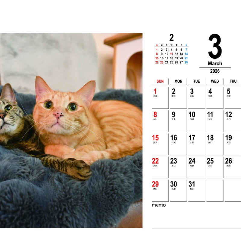 予約販売】 吾輩は猫ニートである。 2026年 卓上 カレンダー TC26348
