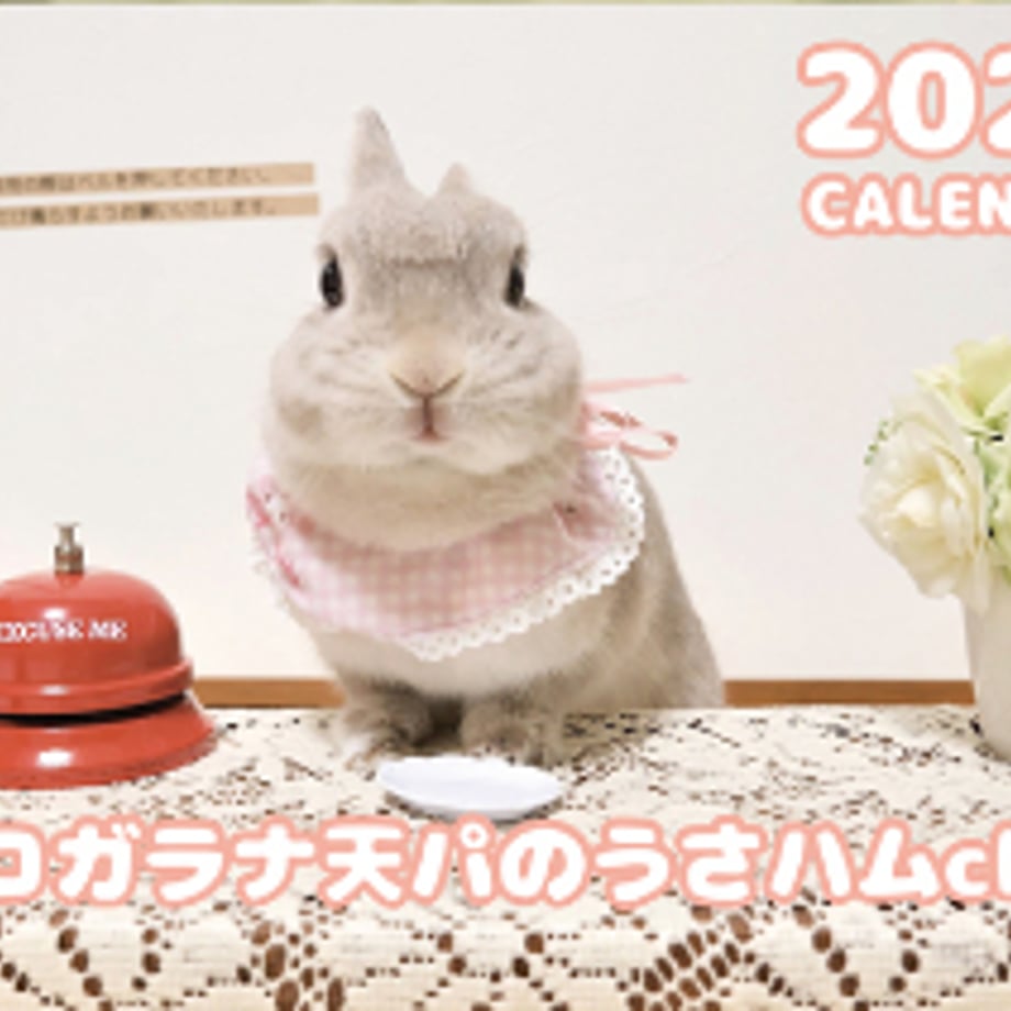 66f6bb816dd9a90001007aea