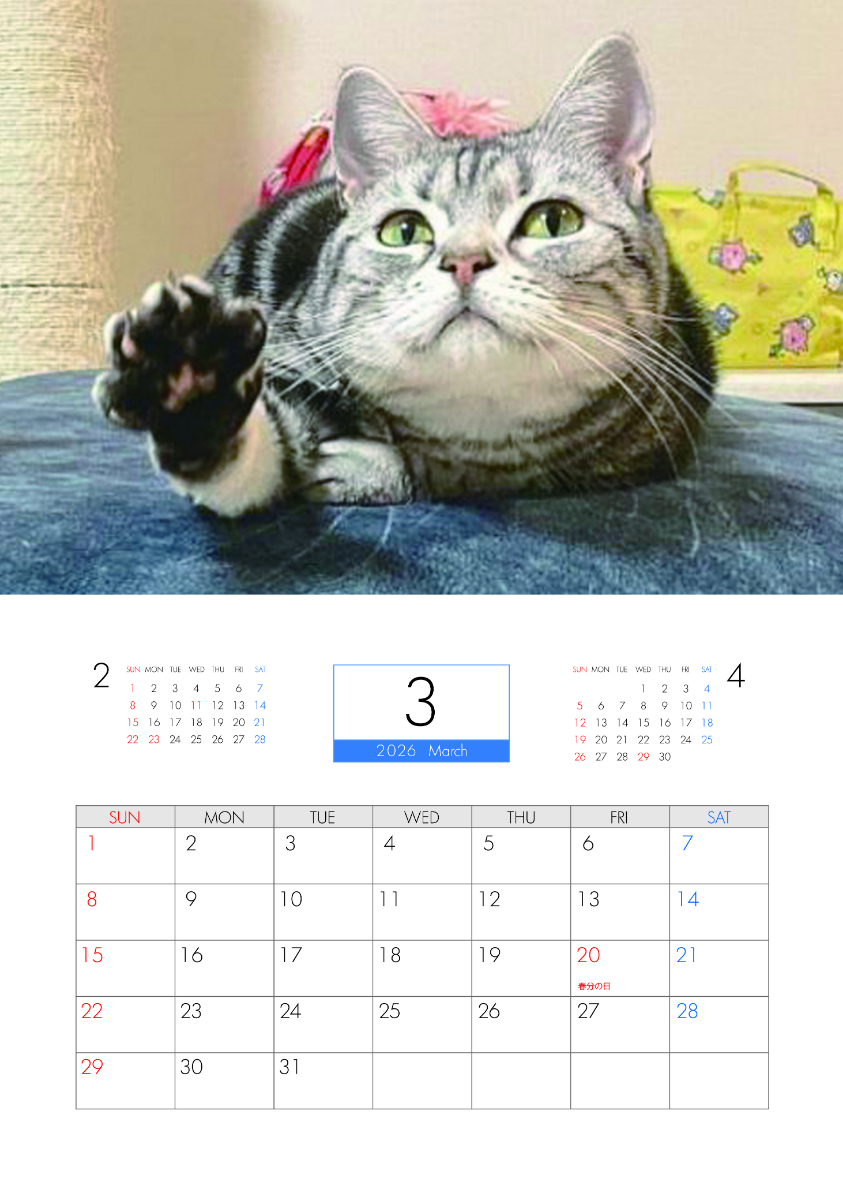 fit=scale-down,w=1200