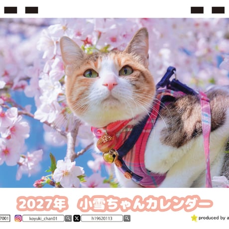 【予約販売】 小雪ちゃん 猫 2027年 卓上 カレンダー TC27009