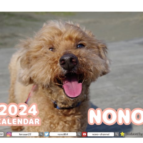 【予約販売】 トイプードル犬のNONO 2024年 卓上 カレンダー TC24102