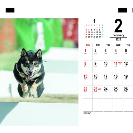 【予約販売】 豆柴ごま娘 犬 2026年 卓上 カレンダー TC26316