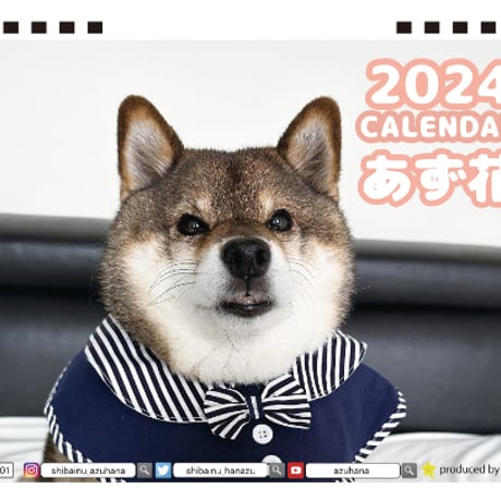 【予約販売】 柴犬のあず花 2024年 卓上 カレンダー TC24016