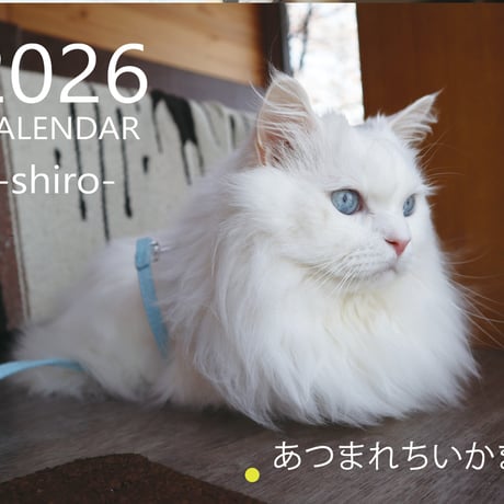 【予約販売】 あつまれちいかまの森 猫 2026年 壁掛け カレンダー KK26292