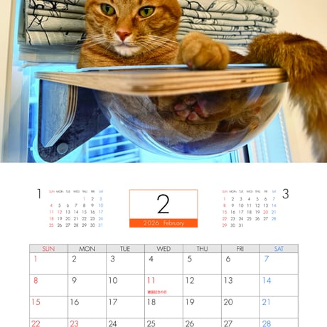 【予約販売】 猫のもち 2026年 壁掛けカレンダー KA26251