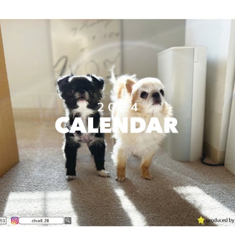 【予約販売】 チワワ犬のTORO&UNI 2024年 卓上 カレンダー TC24053