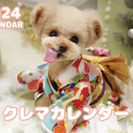 【予約販売】 トイプードル犬のクレマ 2024年 壁掛け カレンダー KK24123