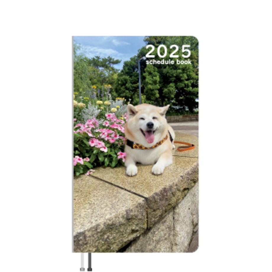 66db040fcc85d000017b8a5a