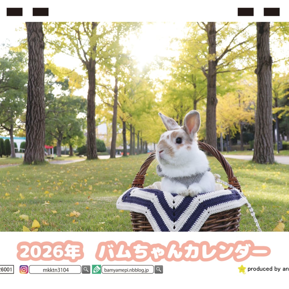 68dcd24b0d04b93d077eb9b5