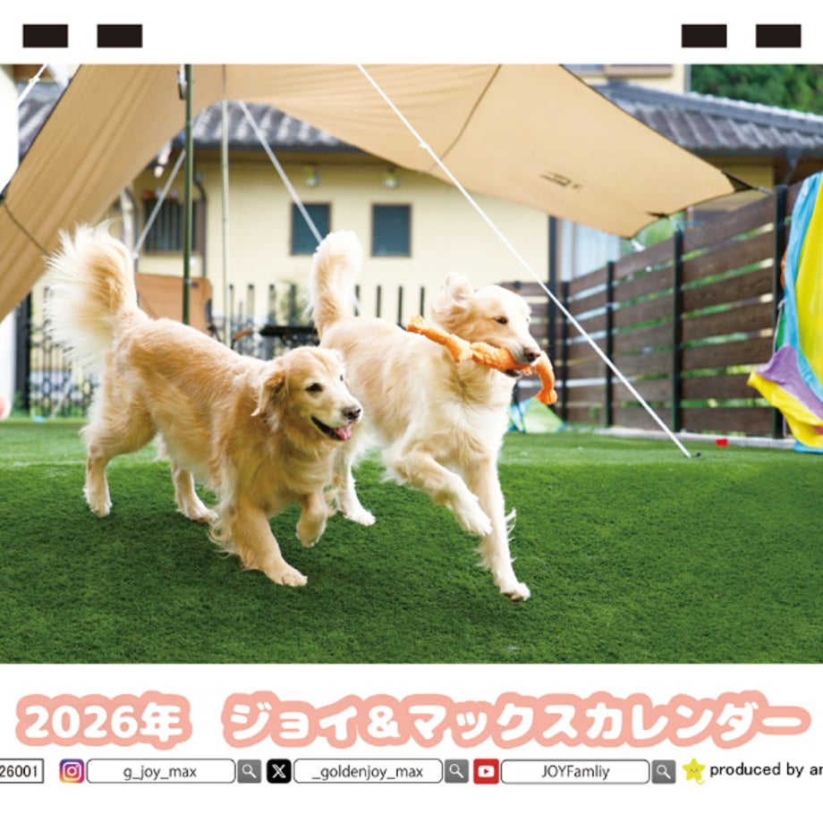 68f482d787fb37a367007ba6