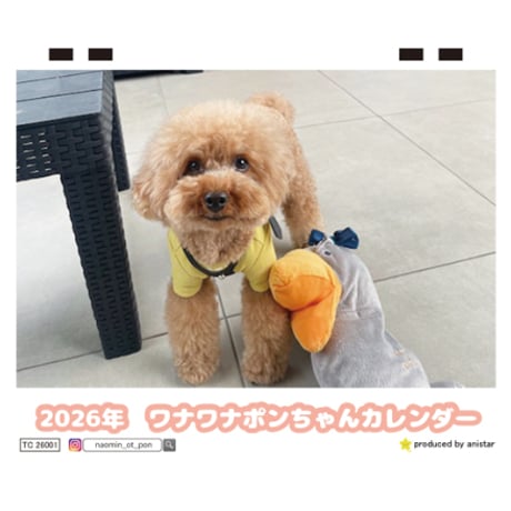 CATEGORY Pon-chan | Anistar shop