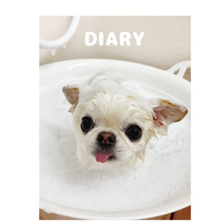 【予約販売】 チワワのUNI＆EBI 犬 日記帳 DR003NN