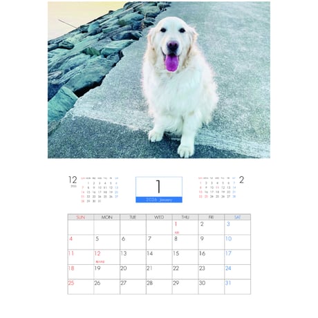 【予約販売】 ゴールデンレトリバー メイ 犬 2026年 壁掛け カレンダー KK26079