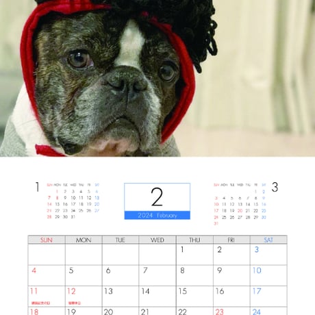 【予約販売】 フレンチブルドッグ犬 原 丸男 2024年 壁掛け カレンダー KK24081