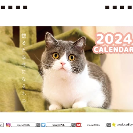 【予約販売】 猫のまる 2024年 卓上 カレンダー TC24073