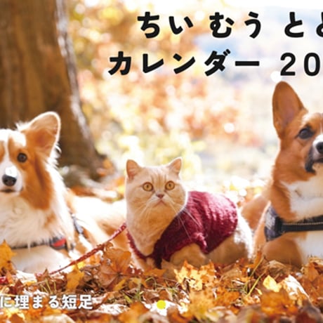 【予約販売】 コーギー犬と猫のちい むう ととろ 2024年 壁掛け カレンダー KK24001